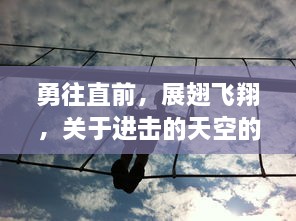 勇往直前，展翅飞翔，关于进击的天空的无限可能与挑战的探索与实践