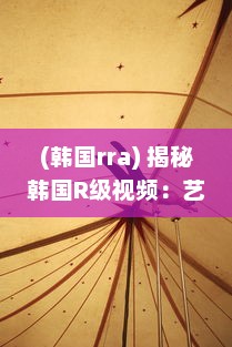 (韩国rra) 揭秘韩国R级视频：艺术与边界之间的微妙平衡与社会影响研究