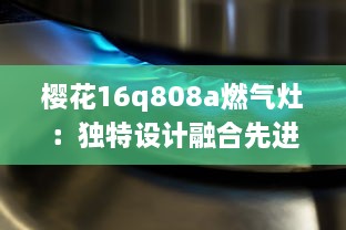 樱花16q808a燃气灶：独特设计融合先进科技，让烹饪过程更加便捷流畅 v5.8.0下载