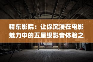 精东影院：让你沉浸在电影魅力中的五星级影音体验之地