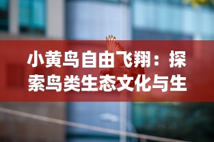 小黄鸟自由飞翔：探索鸟类生态文化与生活乐趣的品质生活之旅 v2.3.1下载