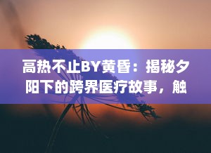 高热不止BY黄昏：揭秘夕阳下的跨界医疗故事，触探生命的热度与无尽希望