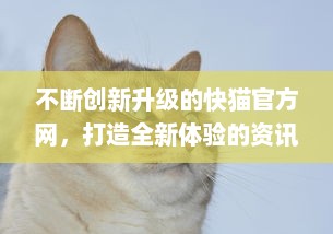 不断创新升级的快猫官方网，打造全新体验的资讯、影视、游戏一站式服务平台 v9.1.4下载