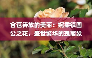 含苞待放的美丽：婉柔镇国公之花，盛世繁华的瑰丽象征