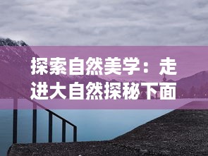 探索自然美学：走进大自然探秘下面流水的魅力与秘密的全景高清视频