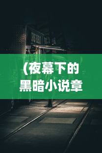 (夜幕下的黑暗小说章节) 探寻夜幕之下的神秘世界：天黑装备铺的夜晚营业奇遇