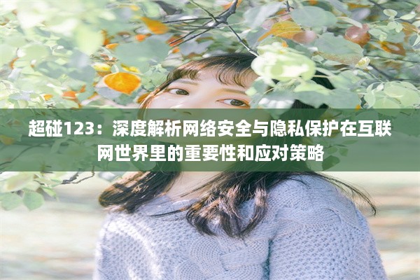 超碰123：深度解析网络安全与隐私保护在互联网世界里的重要性和应对策略