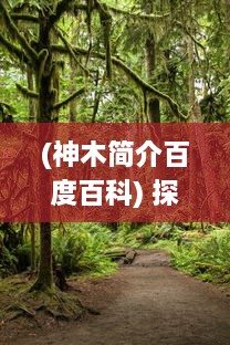 (神木简介百度百科) 探索神秘丛林，体验原生态之美 ，感受神木丽的魅力与神秘