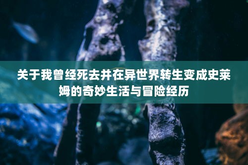 关于我曾经死去并在异世界转生变成史莱姆的奇妙生活与冒险经历