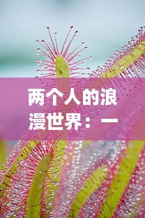 两个人的浪漫世界：一起拔萝卜，一起欢笑，共创属于我们的甜蜜生活与猴子