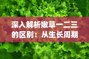 深入解析嫩草一二三的区别：从生长周期、营养价值到适用场景的全面比较