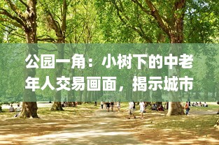 公园一角：小树下的中老年人交易画面，揭示城市生活中不为人知的一面图片集展示