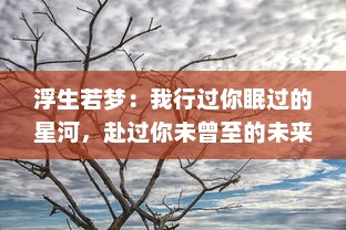 浮生若梦：我行过你眠过的星河，赴过你未曾至的未来