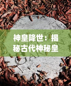 神皇降世：揭秘古代神秘皇权与神话传说中的无上神祇之间的神秘联系