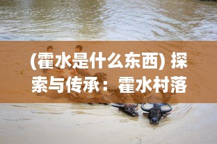 (霍水是什么东西) 探索与传承：霍水村落的文化积淀与生态保护