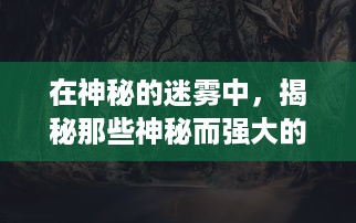 在神秘的迷雾中，揭秘那些神秘而强大的猎物：神之猎场的未知探索之旅