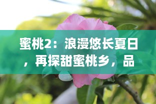 蜜桃2：浪漫悠长夏日，再探甜蜜桃乡，品味青春与爱的绽放 v4.7.9下载