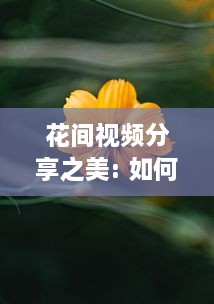 花间视频分享之美: 如何捕捉及传达自然之美的独家秘诀