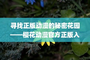 寻找正版动漫的秘密花园——樱花动漫官方正版入口介绍与指南