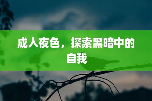 成人夜色，探索黑暗中的自我