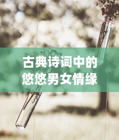 古典诗词中的悠悠男女情缘与情感旅途