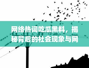 网络热词吃瓜黑料，揭秘背后的社会现象与网络文化波动