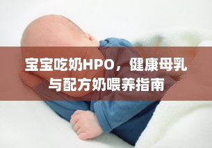 宝宝吃奶HPO，健康母乳与配方奶喂养指南