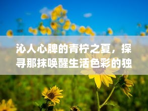 沁人心脾的青柠之夏，探寻那抹唤醒生活色彩的独特清新魅力