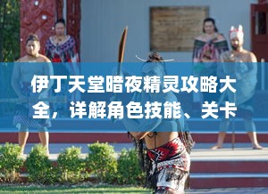 伊丁天堂暗夜精灵攻略大全，详解角色技能、关卡攻略及最佳战斗策略