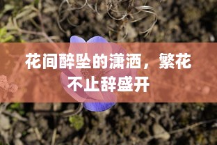 花间醉坠的潇洒，繁花不止辞盛开