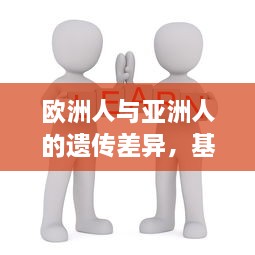 欧洲人与亚洲人的遗传差异，基于DNA水平的细致对比与分析