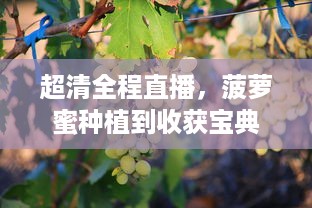 超清全程直播，菠萝蜜种植到收获宝典