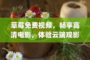 草莓免费视频，畅享高清电影，体验云端观影乐趣