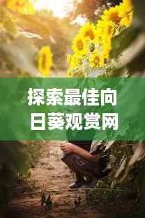 探索最佳向日葵观赏网站，免费体验绚丽花海的魅力与乐趣