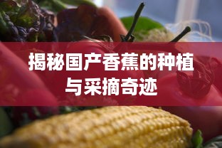 揭秘国产香蕉的种植与采摘奇迹