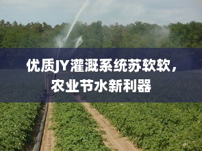 优质JY灌溉系统苏软软，农业节水新利器