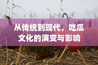 从传统到现代，吃瓜文化的演变与影响