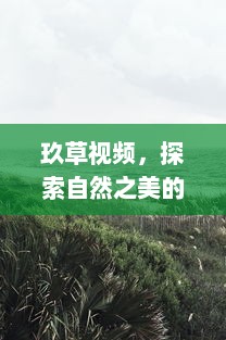 玖草视频，探索自然之美的窗口