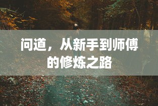 问道，从新手到师傅的修炼之路