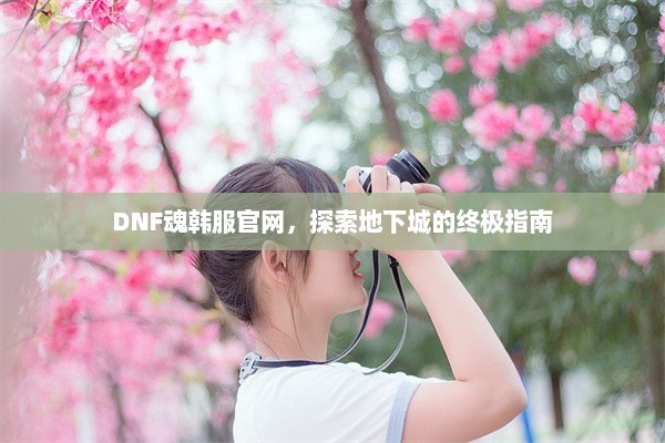 DNF魂韩服官网，探索地下城的终极指南