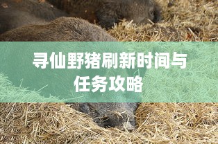 寻仙野猪刷新时间与任务攻略